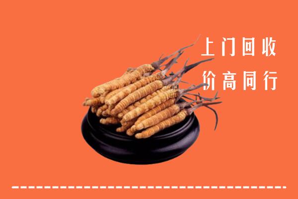 收购行情：哈密市回收散虫草