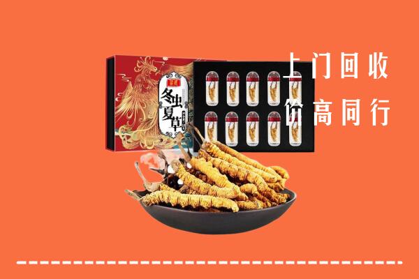 高价求购：哈密市回收虫草